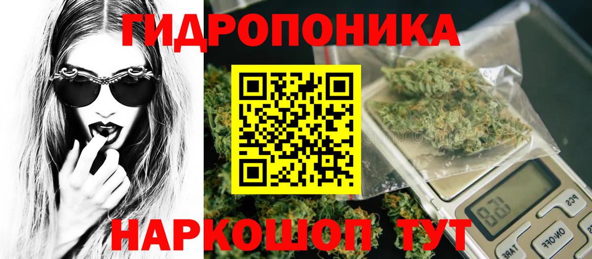 Бошки Шишки семена Копейск